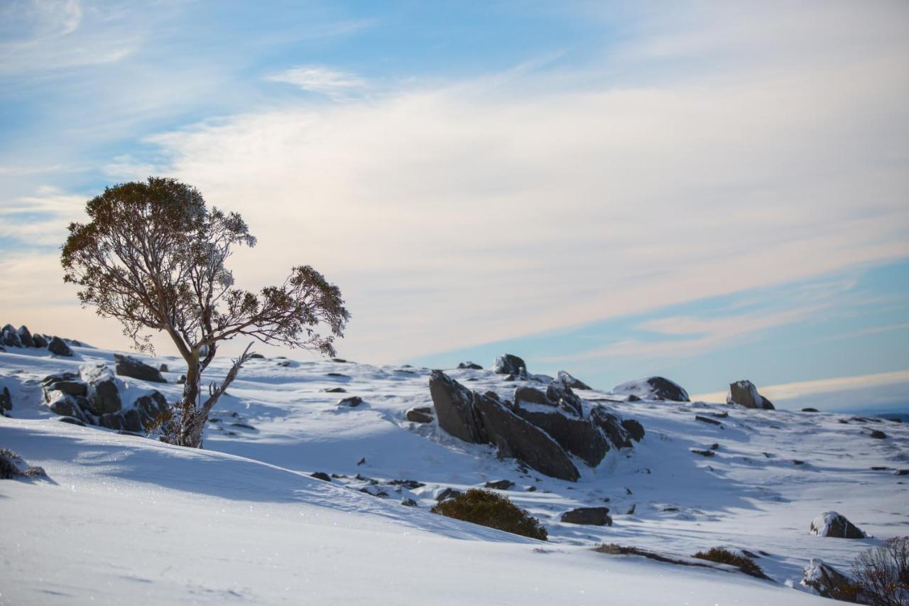 Aneeki Ski Lodge Thredbo Eksteriør bilde